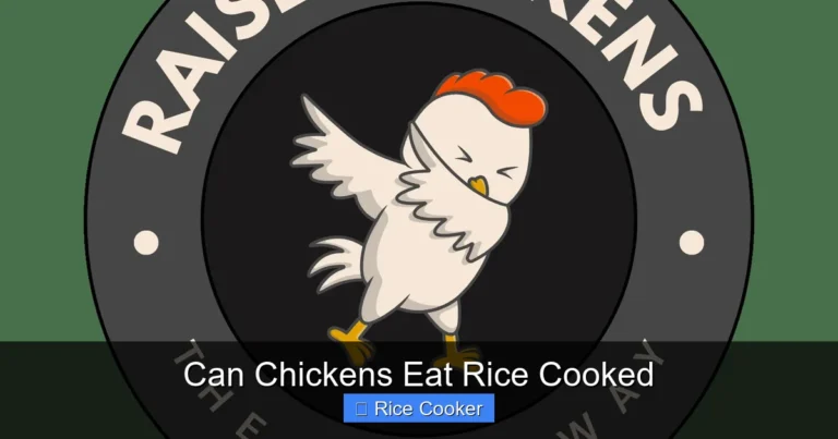 Can Chickens Eat Rice Cooked