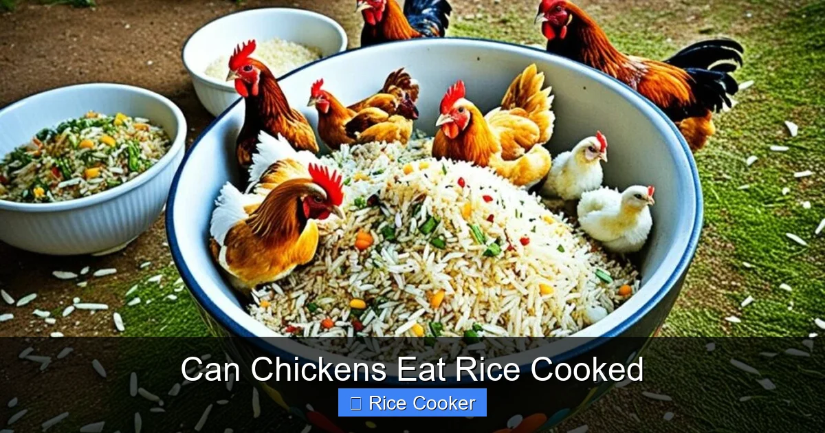 Can Chickens Eat Rice Cooked