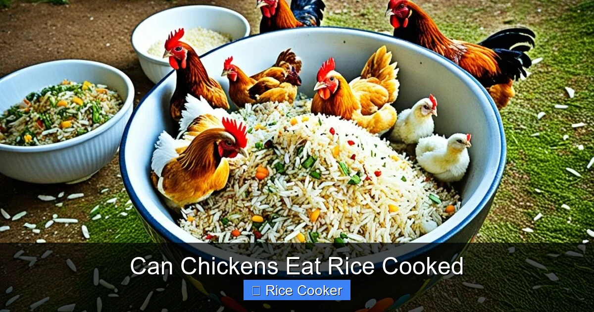 Can Chickens Eat Rice Cooked