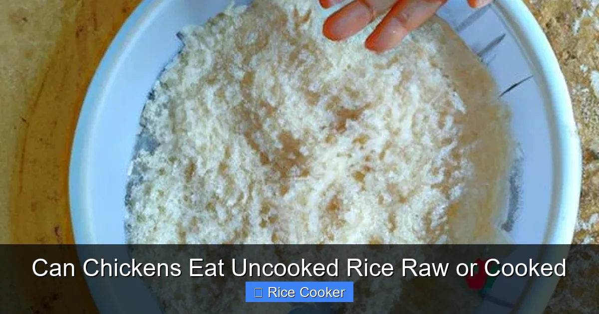 Can Chickens Eat Uncooked Rice Raw or Cooked