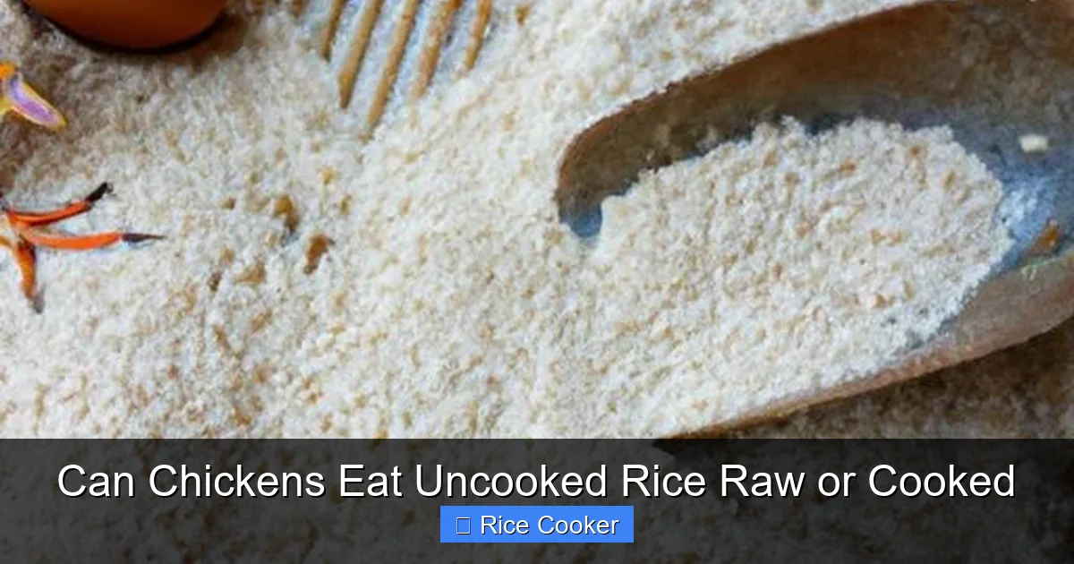 Can Chickens Eat Uncooked Rice Raw or Cooked