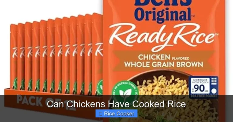 Can Chickens Have Cooked Rice