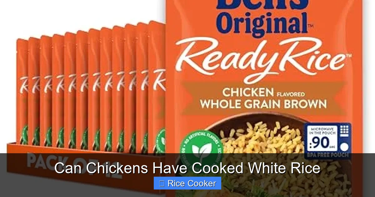 Can Chickens Have Cooked White Rice