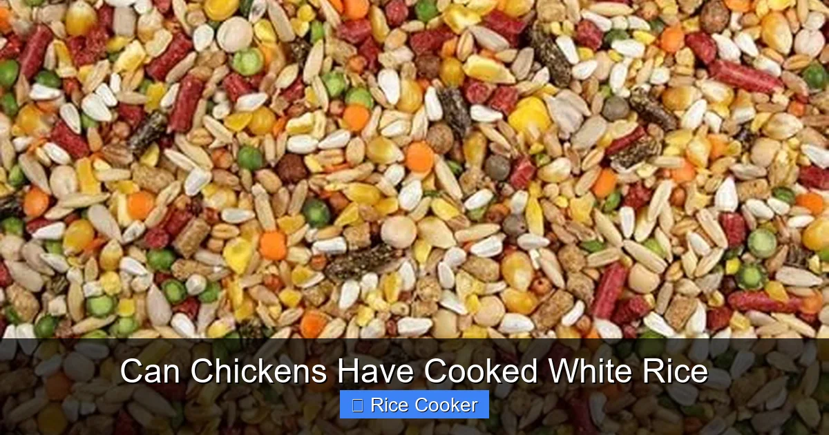 Can Chickens Have Cooked White Rice