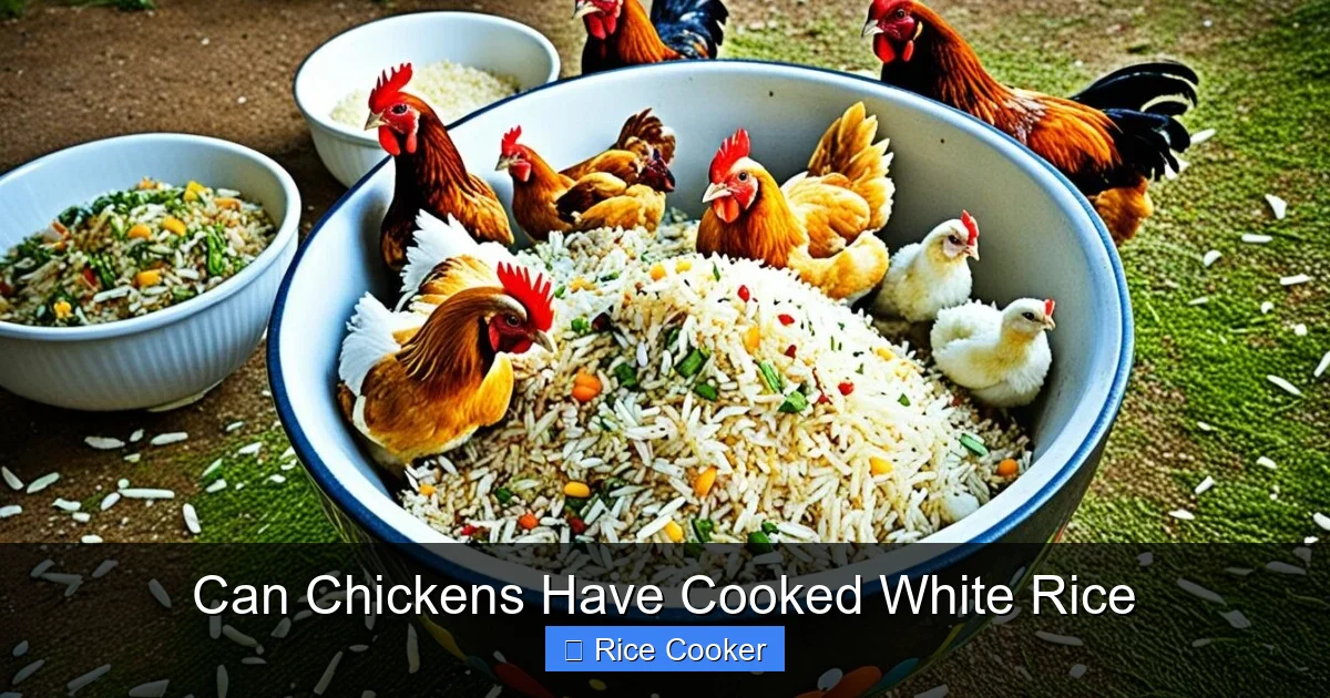 Can Chickens Have Cooked White Rice