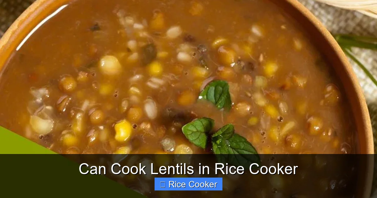 Can Cook Lentils in Rice Cooker