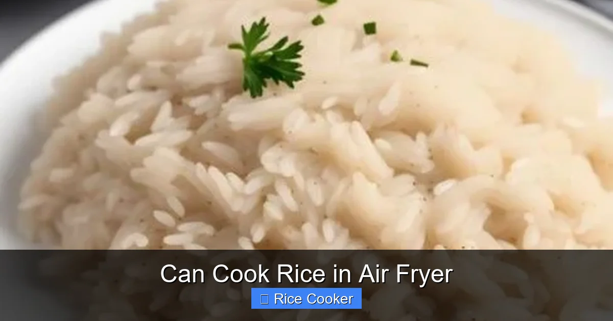 Can Cook Rice in Air Fryer