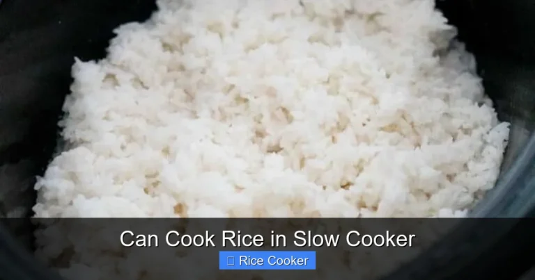 Can Cook Rice in Slow Cooker