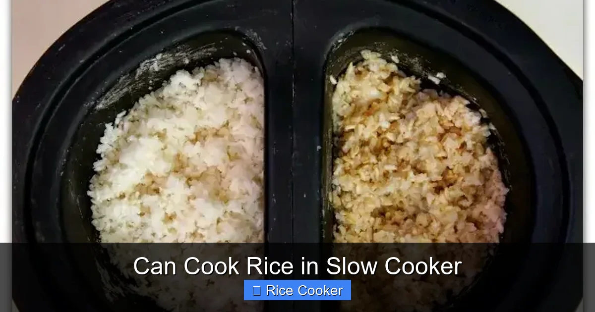 Can Cook Rice in Slow Cooker