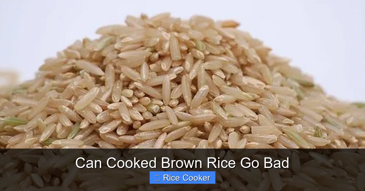 Can Cooked Brown Rice Go Bad