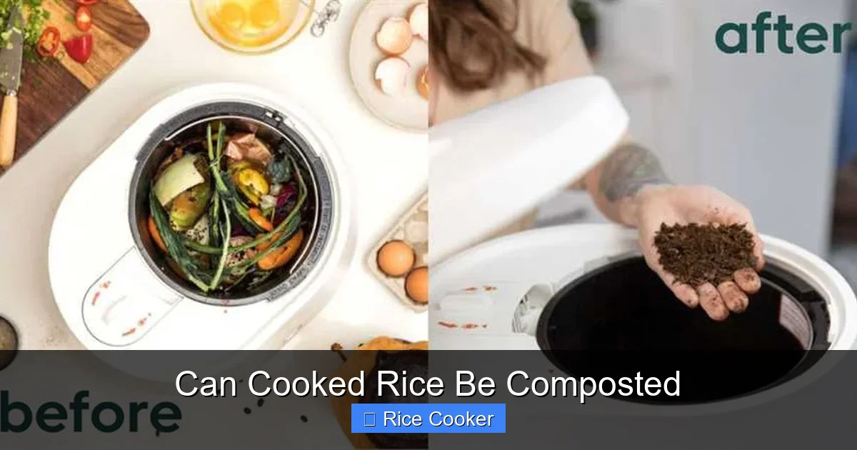 Can Cooked Rice Be Composted