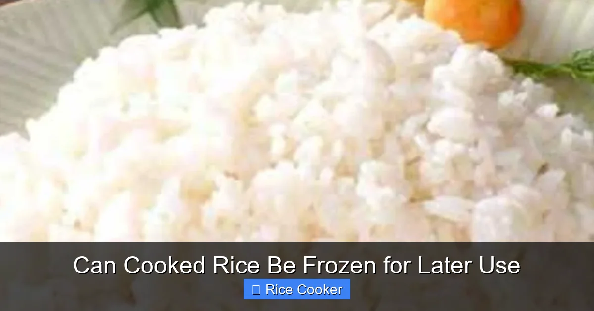 Can Cooked Rice Be Frozen for Later Use
