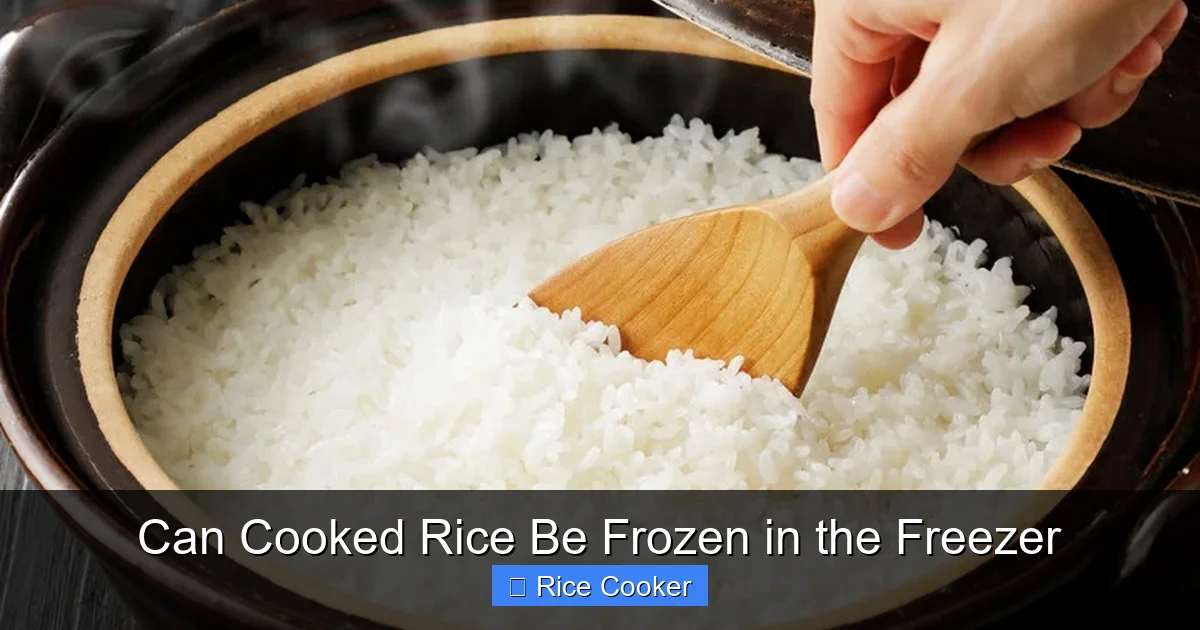Can Cooked Rice Be Frozen in the Freezer
