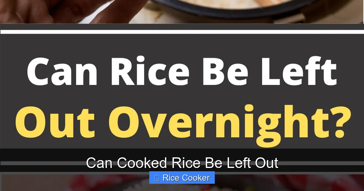 Can Cooked Rice Be Left Out