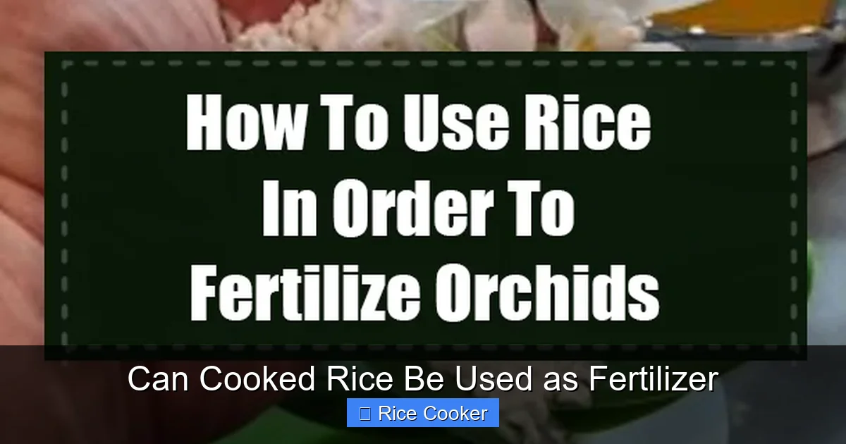 Can Cooked Rice Be Used as Fertilizer