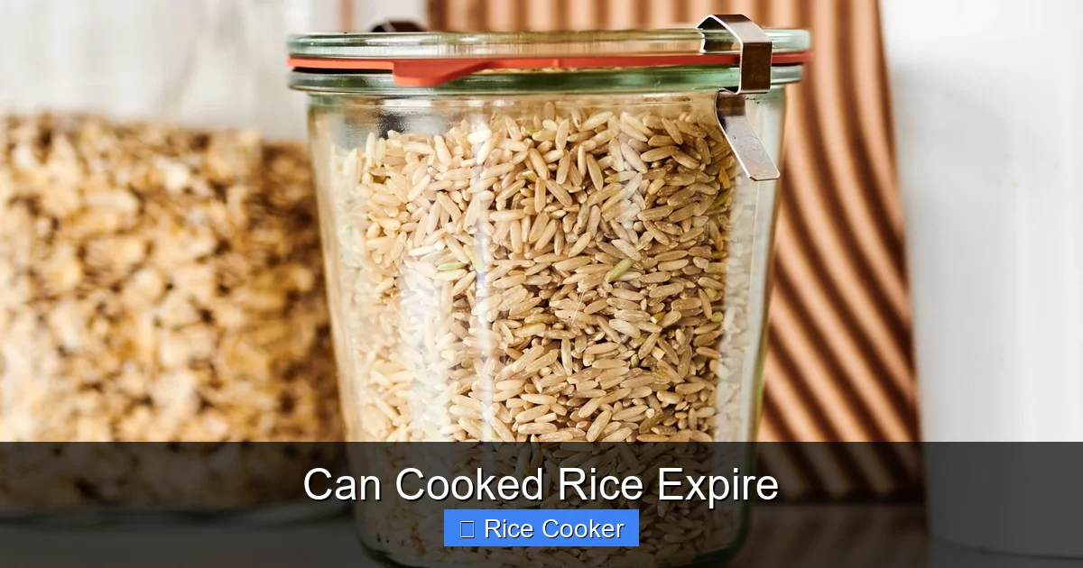 Can Cooked Rice Expire
