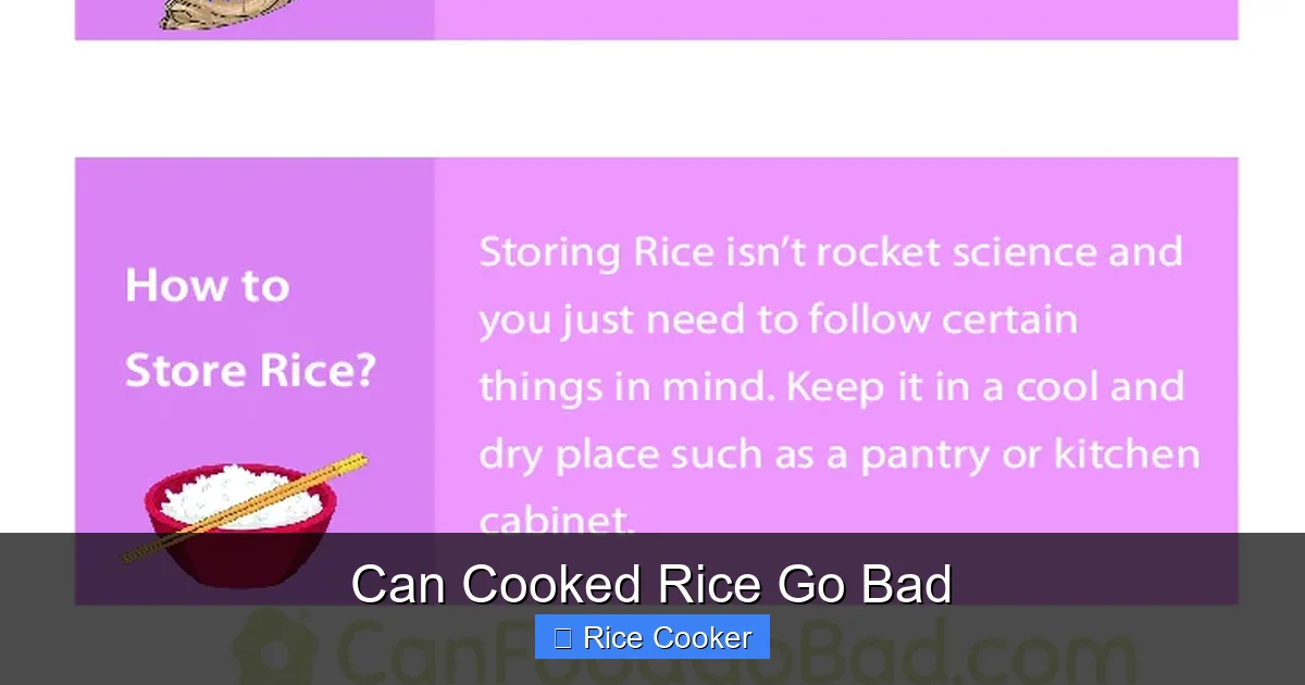 Can Cooked Rice Go Bad
