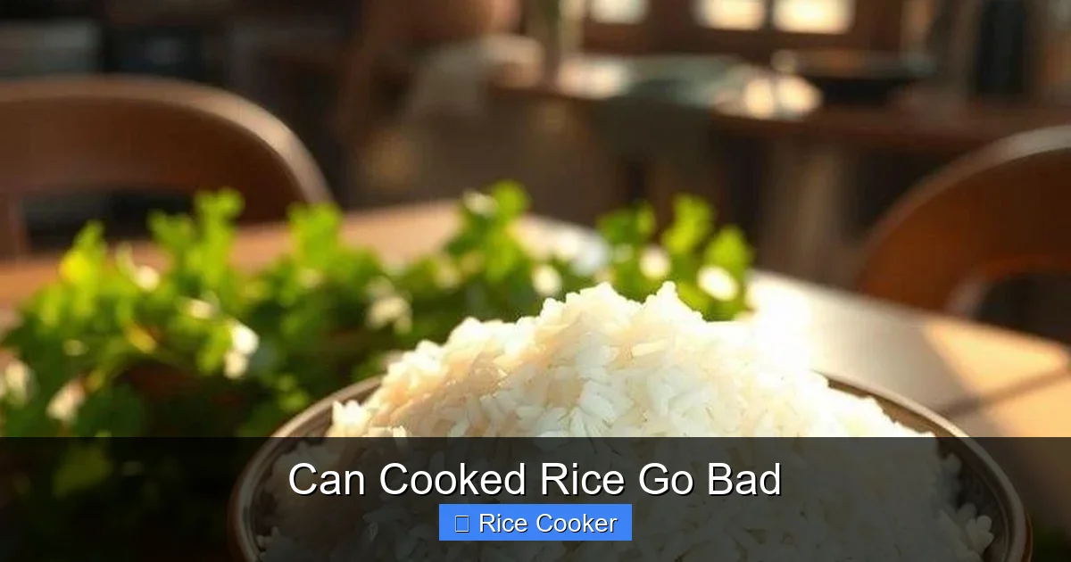 Can Cooked Rice Go Bad