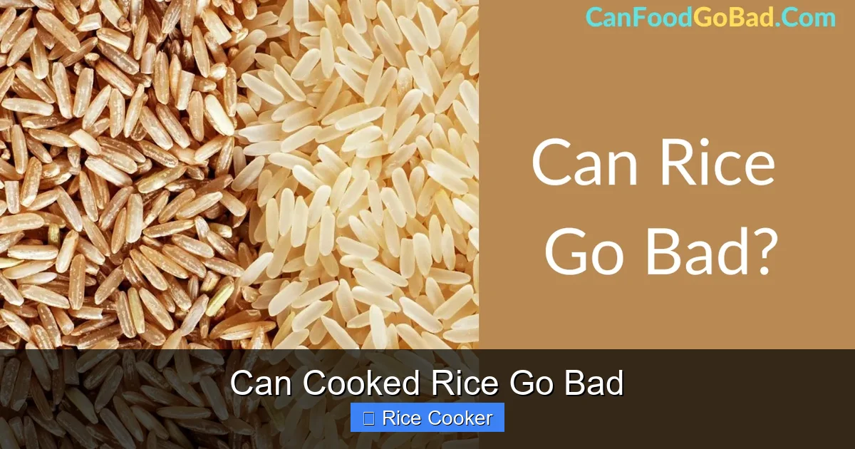 Can Cooked Rice Go Bad