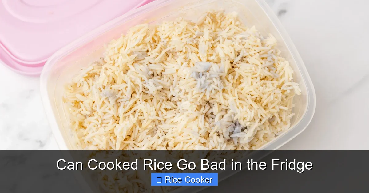 Can Cooked Rice Go Bad in the Fridge