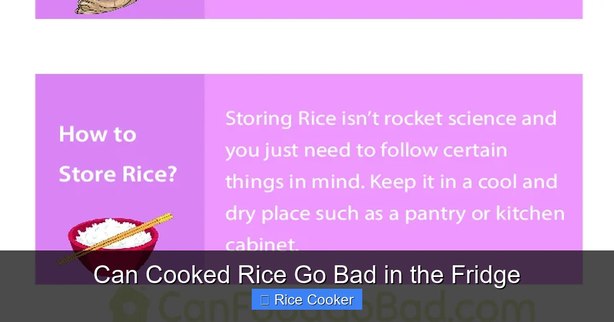 Can Cooked Rice Go Bad in the Fridge
