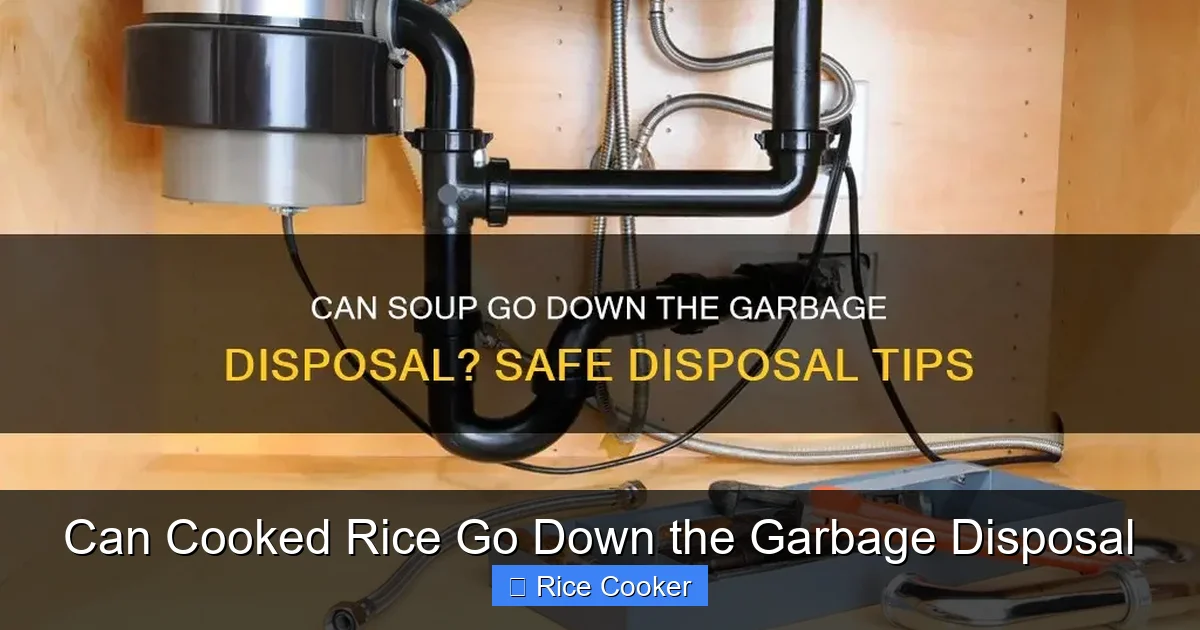 Can Cooked Rice Go Down the Garbage Disposal
