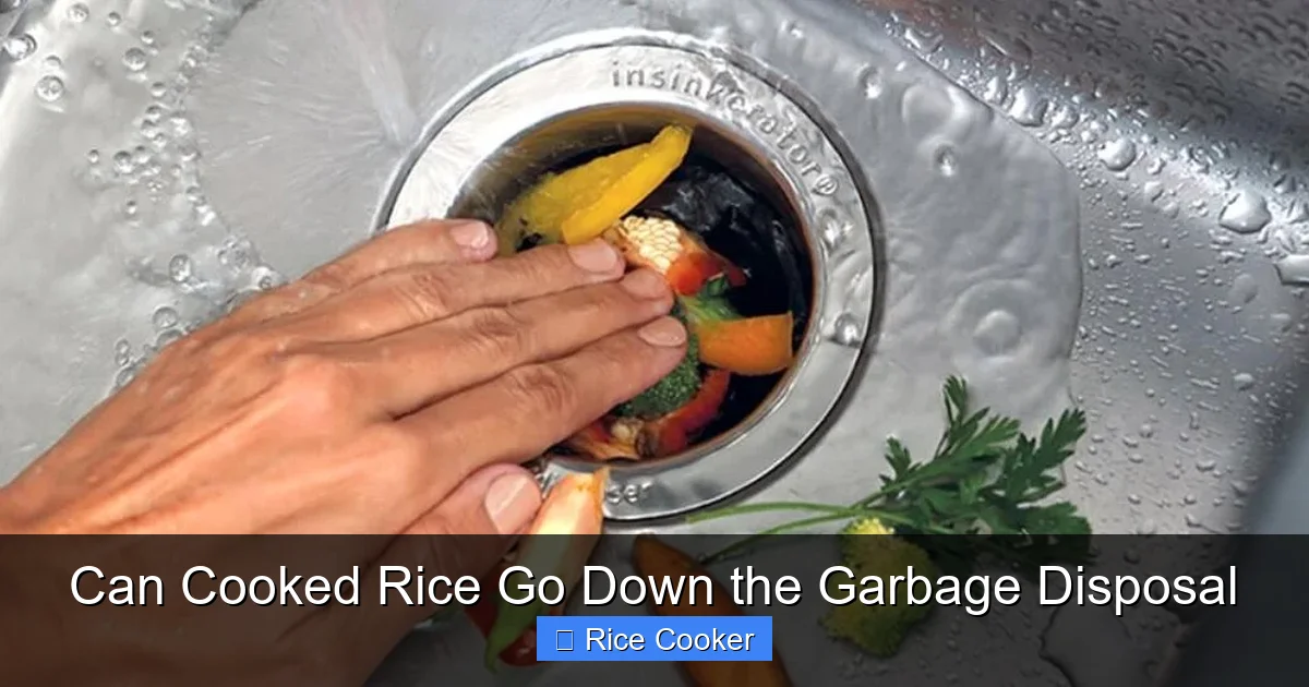 Can Cooked Rice Go Down the Garbage Disposal
