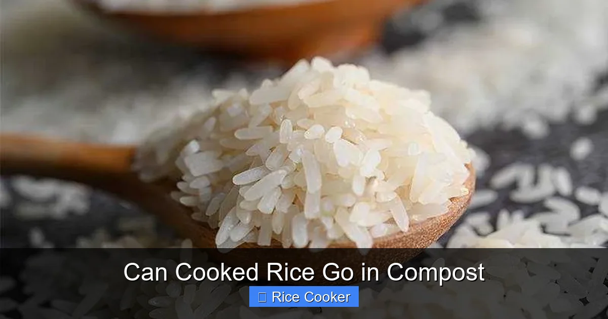 Can Cooked Rice Go in Compost