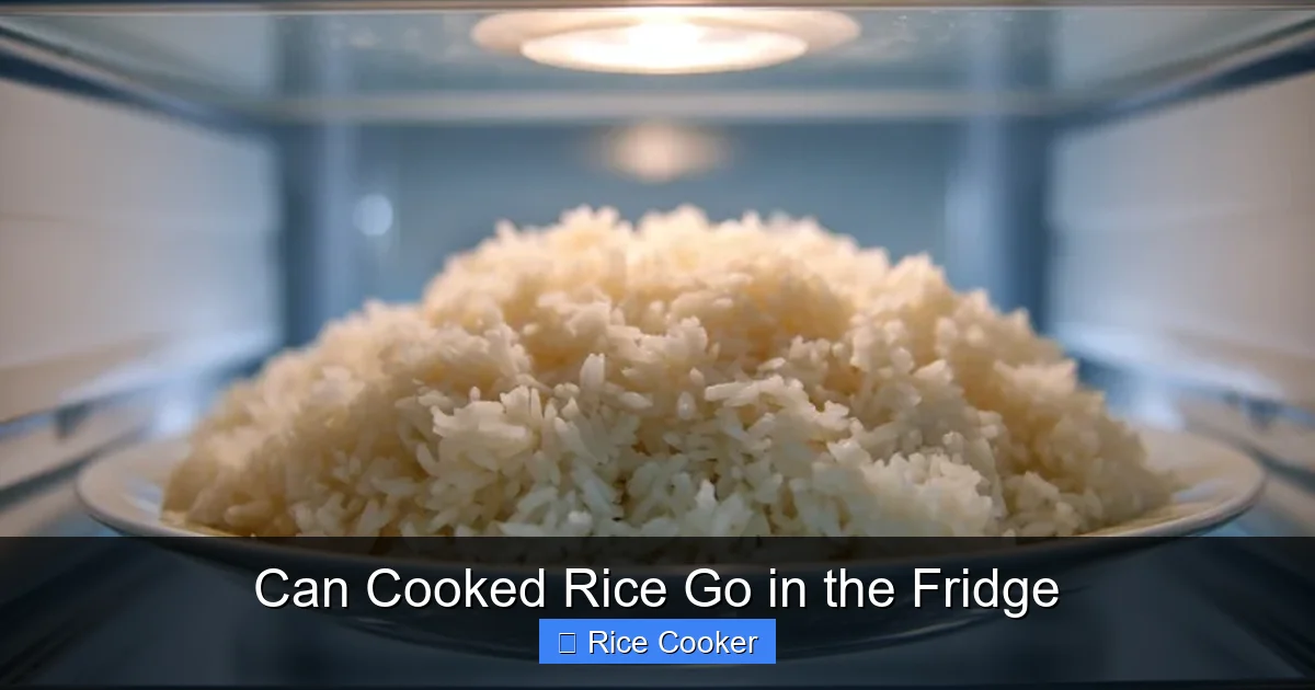 Can Cooked Rice Go in the Fridge