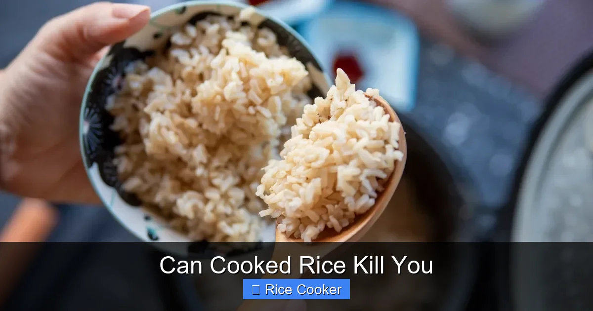 Can Cooked Rice Kill You