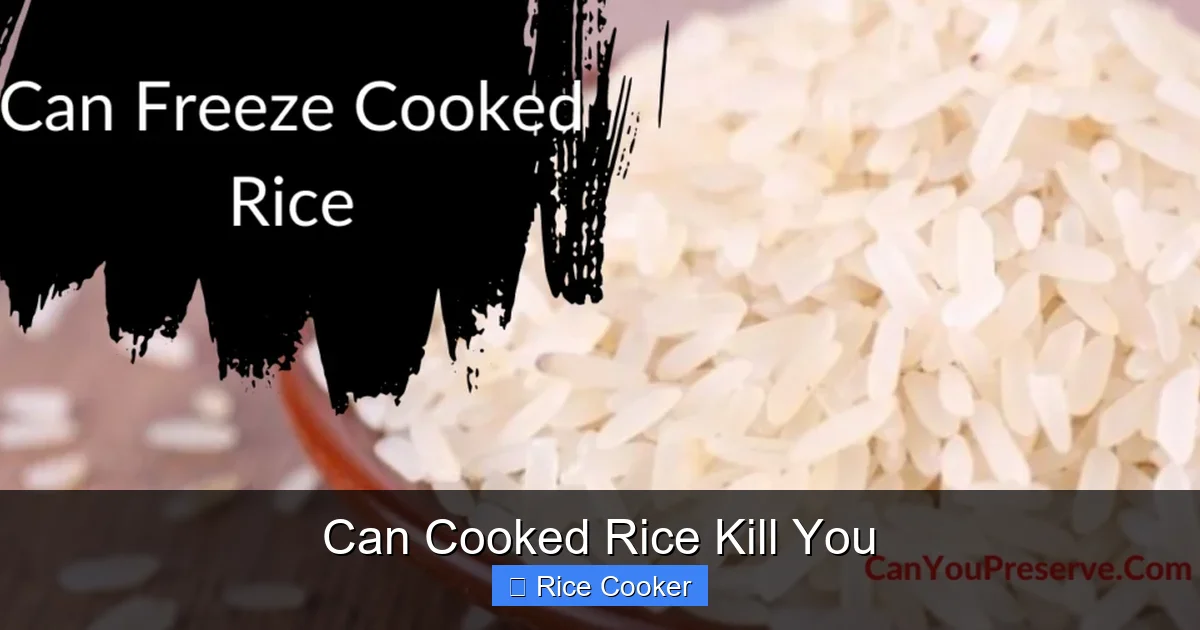 Can Cooked Rice Kill You