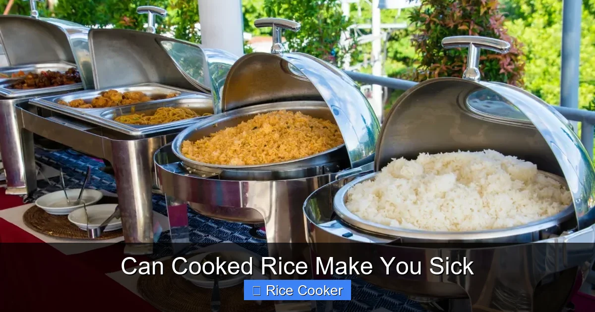 Can Cooked Rice Make You Sick