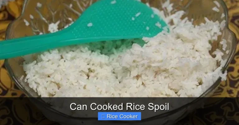 Can Cooked Rice Spoil