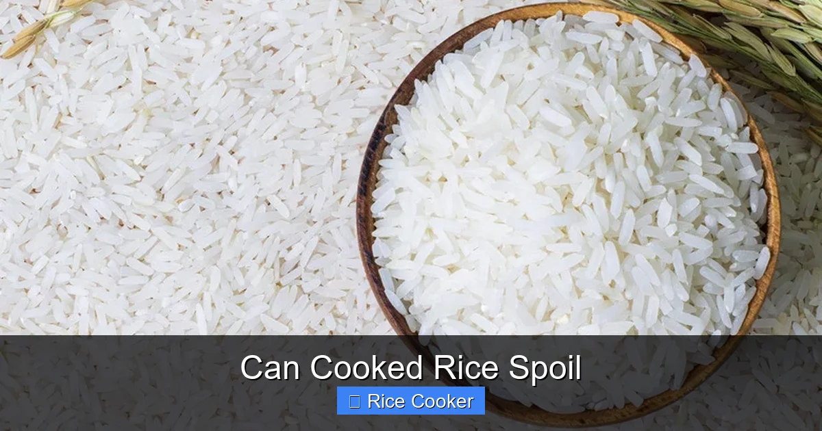 Can Cooked Rice Spoil