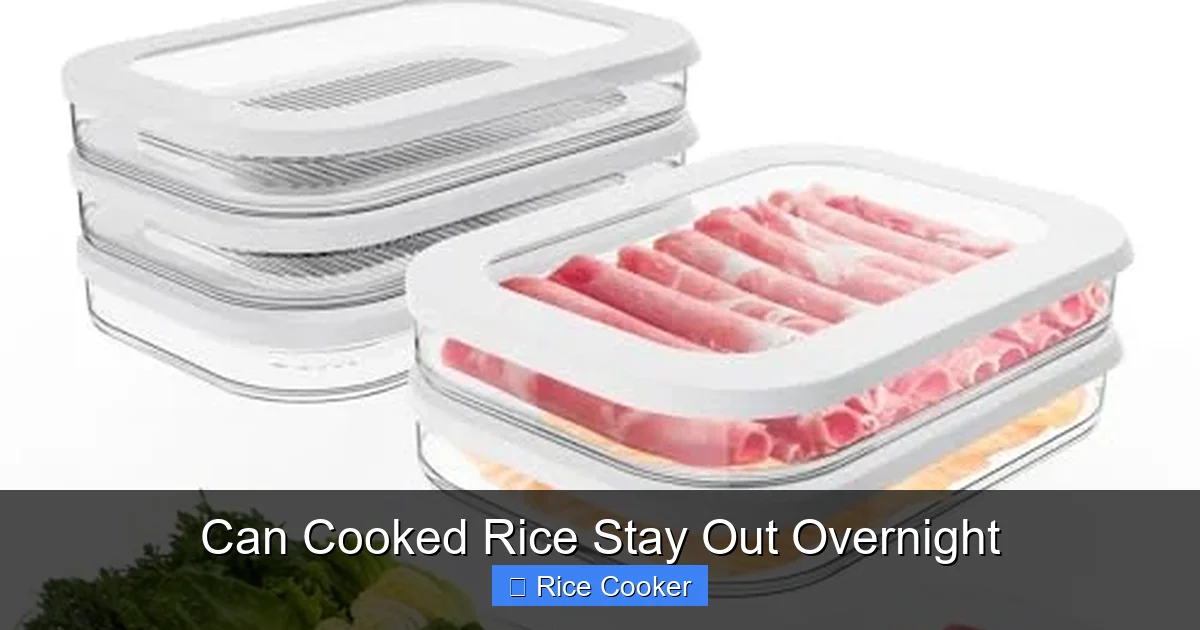 Can Cooked Rice Stay Out Overnight