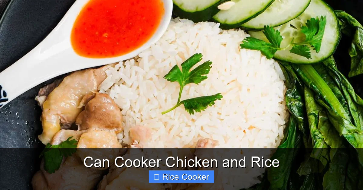 Can Cooker Chicken and Rice