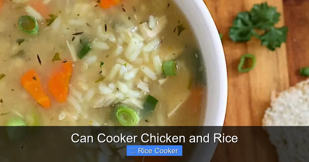 Can Cooker Chicken and Rice
