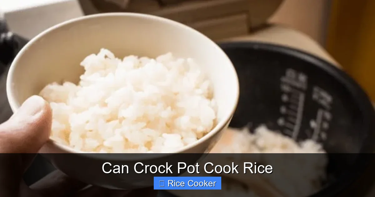 Can Crock Pot Cook Rice