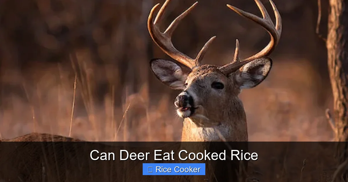 Can Deer Eat Cooked Rice