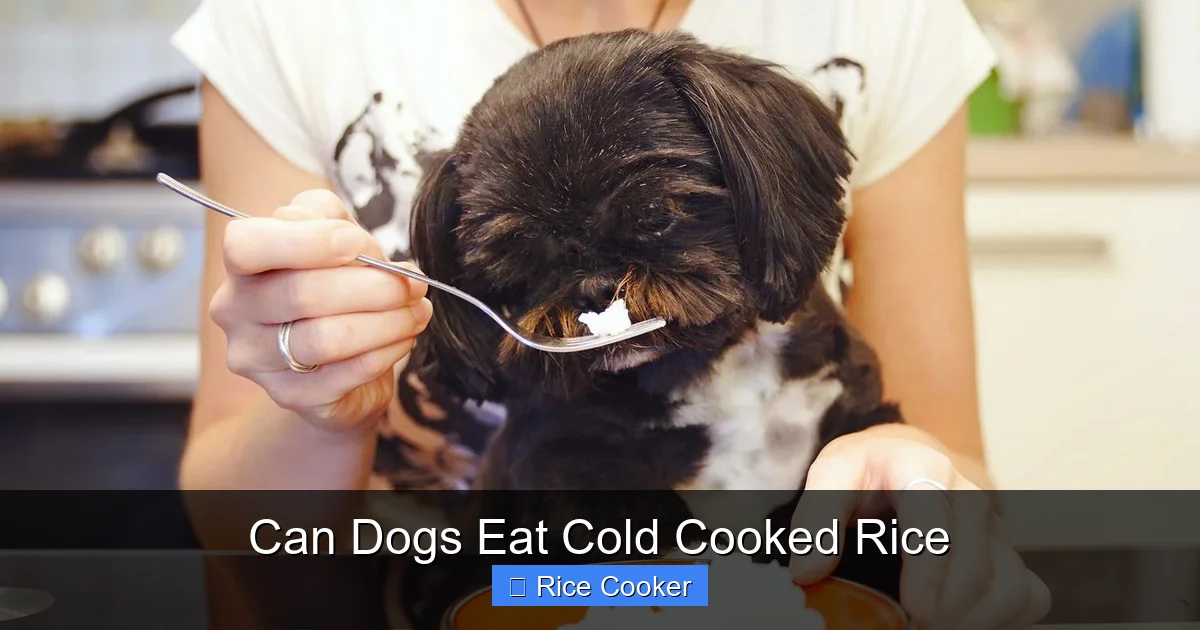 Can Dogs Eat Cold Cooked Rice
