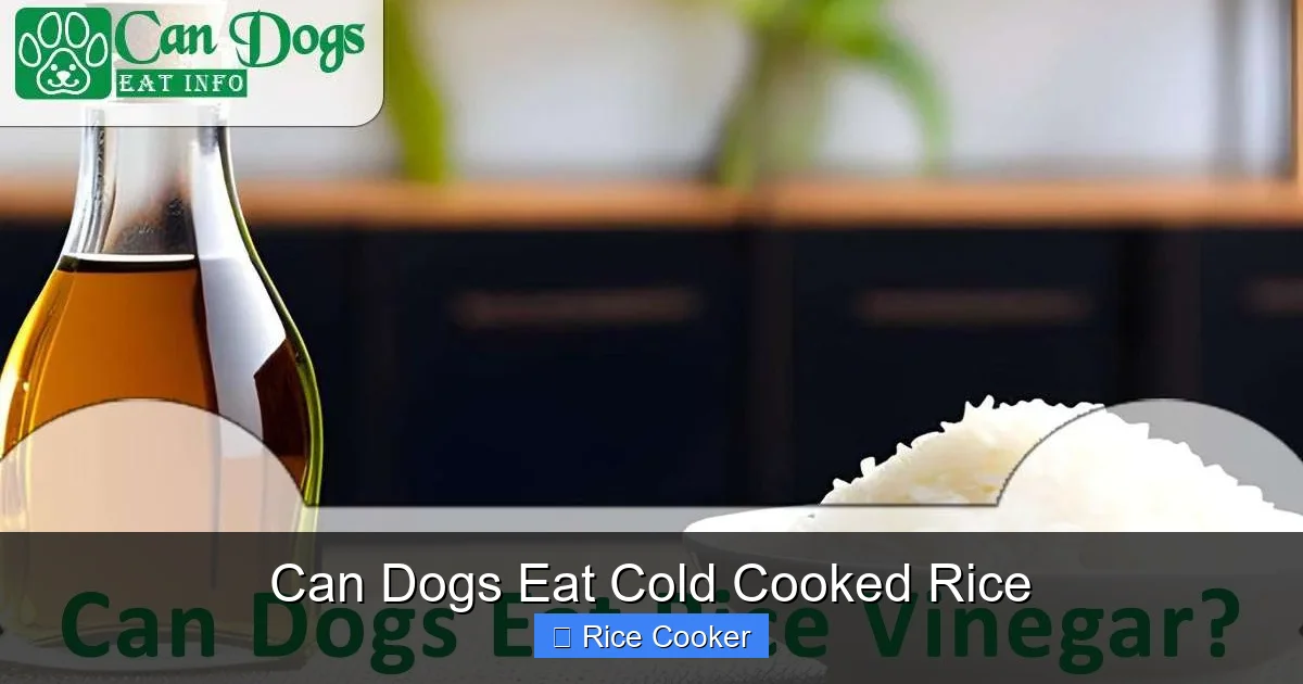 Can Dogs Eat Cold Cooked Rice