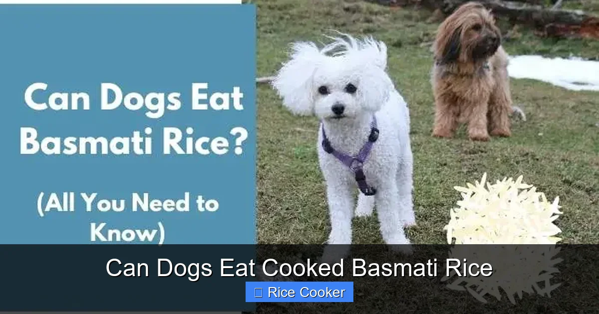Can Dogs Eat Cooked Basmati Rice