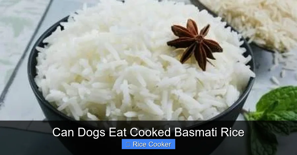 Can Dogs Eat Cooked Basmati Rice