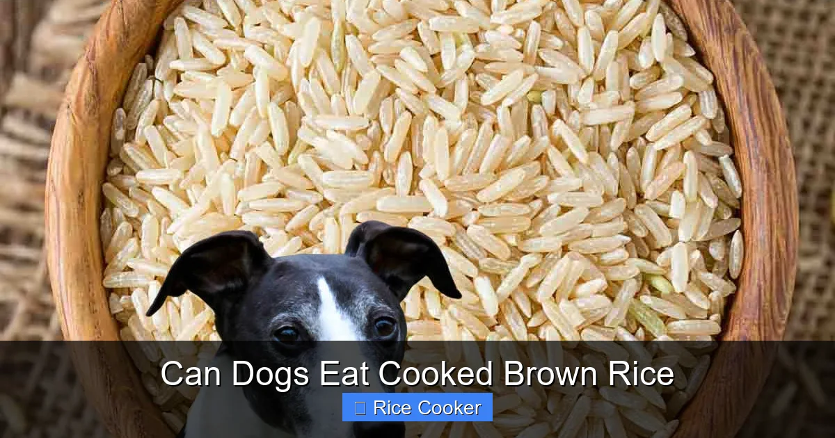Can Dogs Eat Cooked Brown Rice