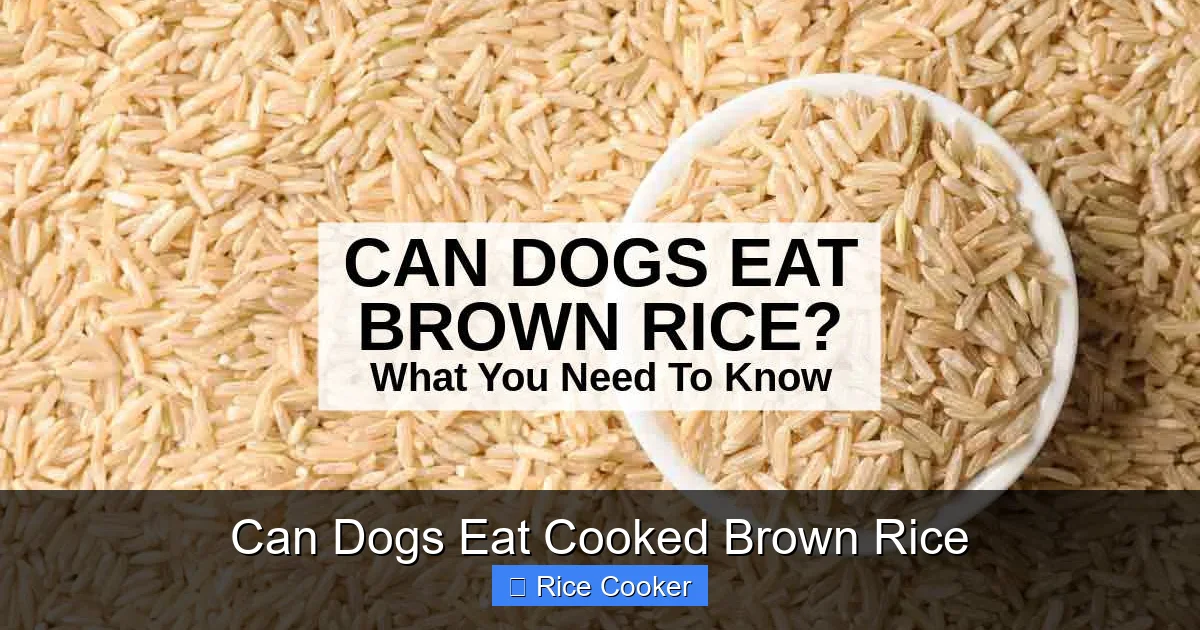 Can Dogs Eat Cooked Brown Rice
