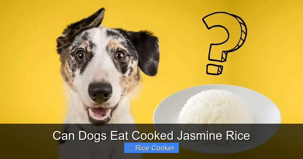 Can Dogs Eat Cooked Jasmine Rice
