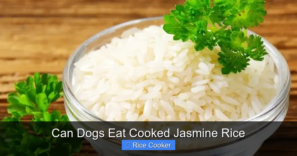 Can Dogs Eat Cooked Jasmine Rice