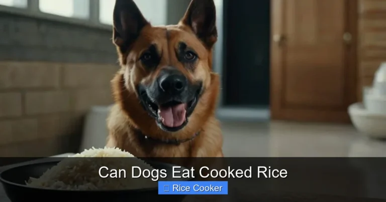 Can Dogs Eat Cooked Rice