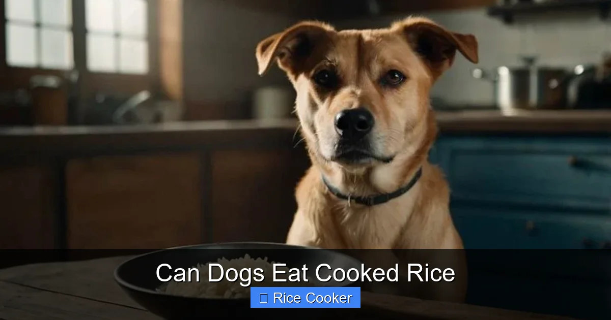 Can Dogs Eat Cooked Rice