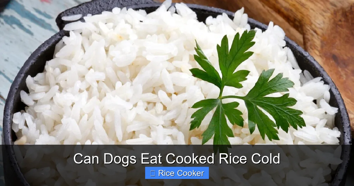 Can Dogs Eat Cooked Rice Cold